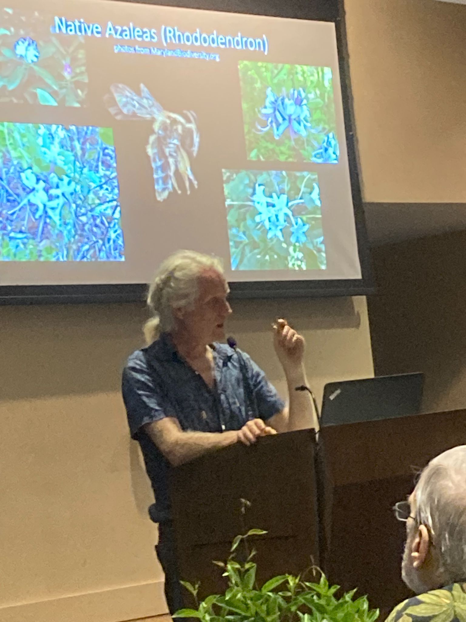 Sam Droge speaking about insects for Pollinator Week 2024